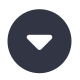 chevron-down-circle icon