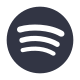 spotify icon